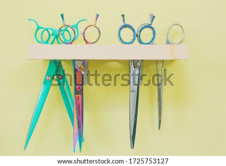 Set of professional scissor in pet grooming salon for animal care.Different chrome scissors for animals hygiene.Vet clinic services for pets health