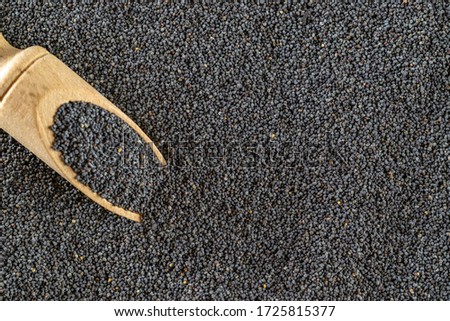 Poppy seeds. Dark pile poppyseed food in wooden scoop or spoon isolated on black stone background. Vitamin snack breakfast, diet and healthy eating concept.