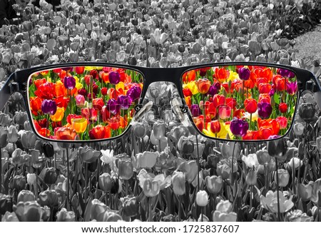 Through glasses frame. Colorful view of colorful tulips in glasses and monochrome background. Different world perception. Optimism, hopefulness, mental health concept. Royalty-Free Stock Photo #1725837607