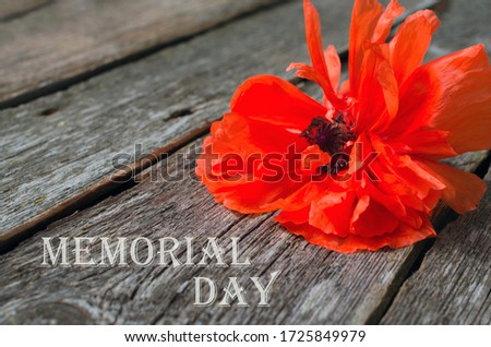 National american holiday Memorial Day text on wooden background with red poppy flower.
