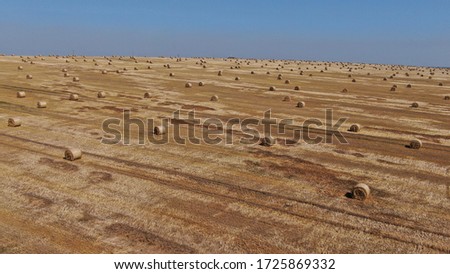 Rye field. Margin. Square. Cornfield
Brim. Hay. Hay stocks. Yellow blue, blue yellow. 