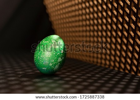 Green colored egg. Close-up photo. Bright sunlight.