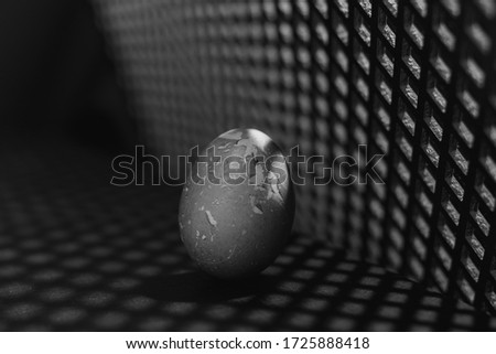 Easter egg. Close-up, black and white photo.
