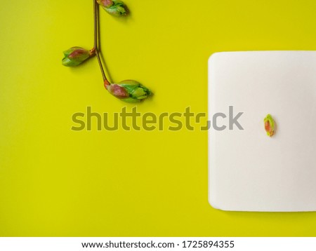 new idea concept: spring petals and blank page on bright yellow background. horizontal, copy space