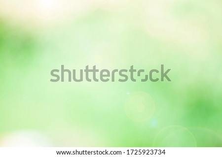 nature background with blurred light