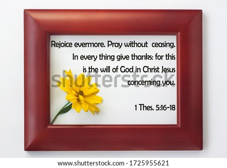 Bible quote in wood frame yellow flower.Inspiration Christian praying verse.Rejoice evermore. Pray without ceasing.In every thing give thanks:for this is the will of God in Christ Jesus concerning you