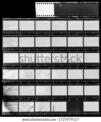 Seven long and empty 35mm filmstrips on black background. Royalty-Free Stock Photo #1725979117