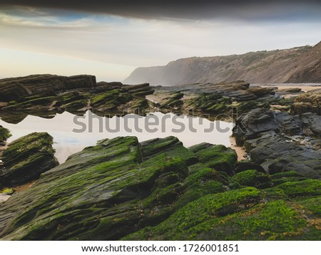 Sunset view of a wild ocean coast in summer