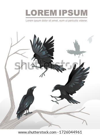 Black silhouette group of black crows a dead tree branch advertising flyer design cartoon animal style flat vector illustration on white background