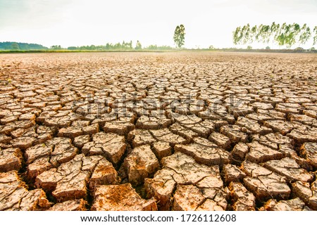 The withered rice in the fields are dry, the land is broken. And the evening sun.
The impact of global warming in the tropics Southeast Asia, Myanmar, Laos, Thailand, Cambodia, Vietnam, Indonesia Royalty-Free Stock Photo #1726112608