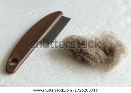 Cat and dog brushes comp with a scrap pet hair. Take care of pets. Causes of allergies. Royalty-Free Stock Photo #1726203916