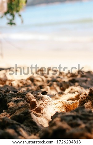 Sunny day, beach sand with blurred background