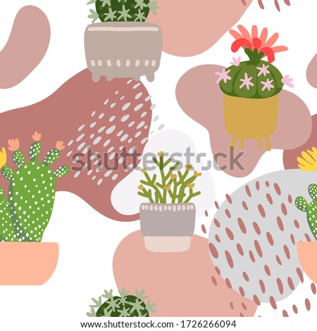 Cacti and succulents. Indoor plants and flowers in pots. Landscaping at home. Decor for the apartment and garden. 