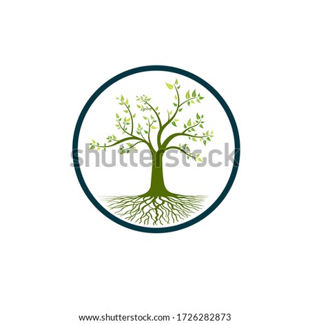 tree and root logo element to complete your design