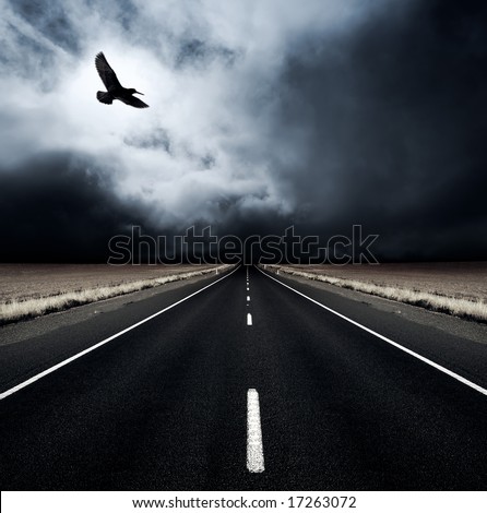 A bird flies away from an incoming storm
