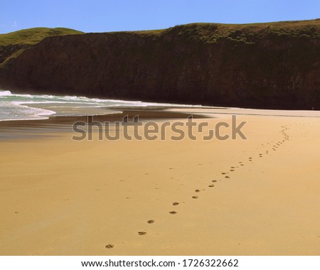 Footprints on a wild and remoted beach .
