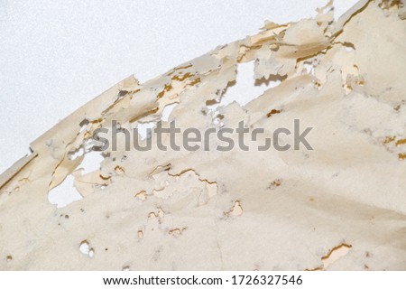 Paper swallowed with silverfish. Traces of wrecking silverfish on vinyl envelopes. lepisma
