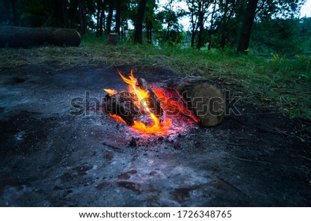 bright forest campfire in the late evening on the Bank of the Volga