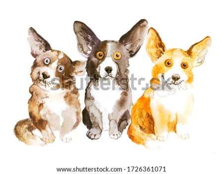 Cheerful and cute group of corgi in watercolor illustration on a white background. sketch animals and dogs
