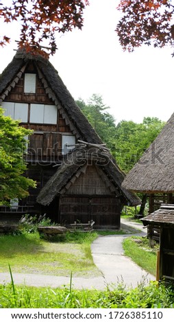 Tactched roof village near Takayama in Gifu prefecture, Japan