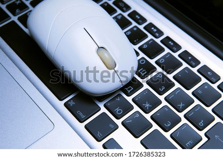 Wireless white mouse, laptop keyboard
