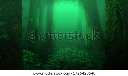 Green fairy tale forest, soft transparent light between trunks. Old mossy trees, wild white plants and flowers. Fantasy magical woods background
