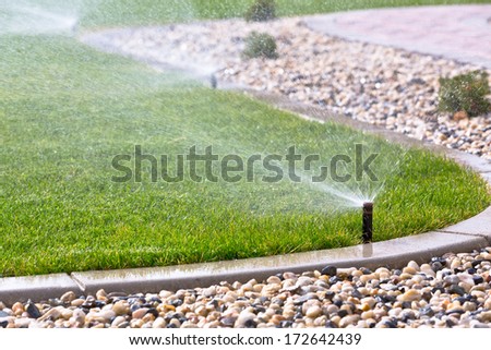 watering lawn with sprinklers Royalty-Free Stock Photo #172642439