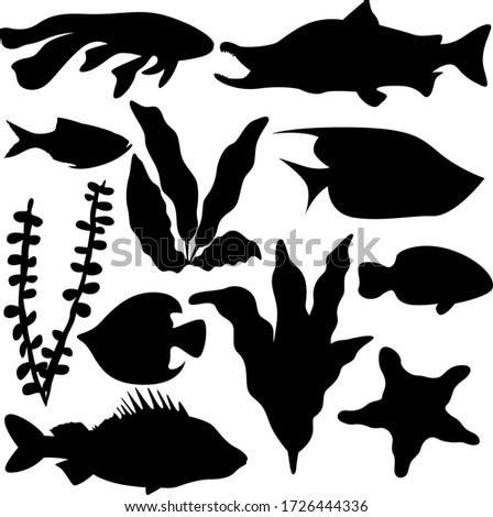 A set of eleven elements of the sea world. Set for various purposes magazine, poster, website, and more. Fish, seaweed, starfish. Vector illustration.