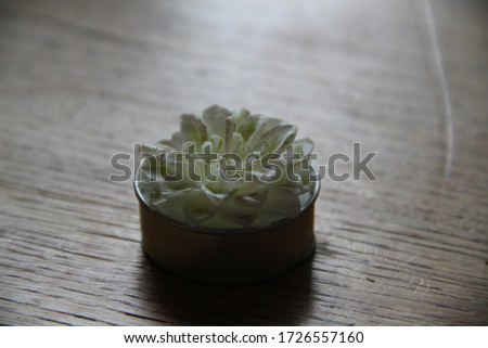White flower shape small wax candle