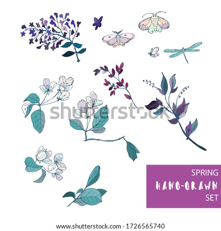 Vector pattern with flowers and leaves of apple and lilac, with moths, butterflies and dragonfly on a white background. All objects are isolated. Square hand-drawn illustration. Spring hand drawn set.