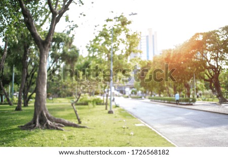 defocused bokeh background of garden trees 