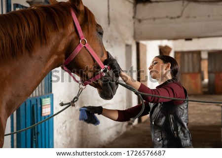 Woman groomer takes care of and combes hair horse coat after classes hippodrome.
