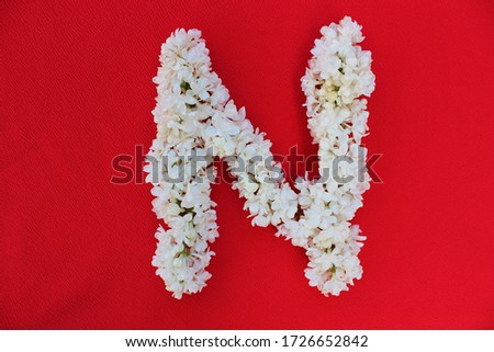 Letter N made from flowers of white lilac on a red background. Flowers composition. Flat lay. Letter N made of white flowers. Spring concept. Floral letters of the alphabet for design and decorati