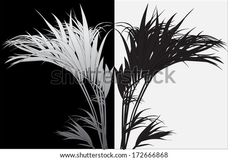 tropical plants (vector drawing nature)