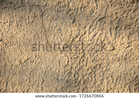 Top view of the sandy beach. Background with copy space and visible sand texture. crack on sand