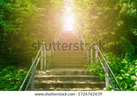 Upward concrete stairs ascending to the brightness of sunlight Royalty-Free Stock Photo #1726762639