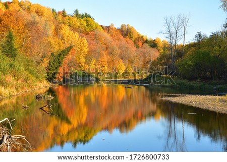 Autumn scene with colorful yellow trees, reflection on water, Riviere du Chene, Leclercville, Quebec