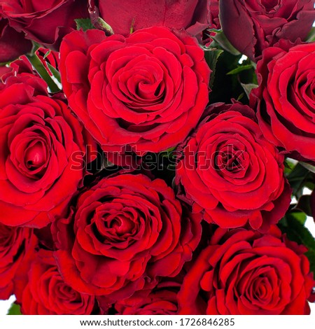 Bouquet of flowers from red roses. Close-up, top view