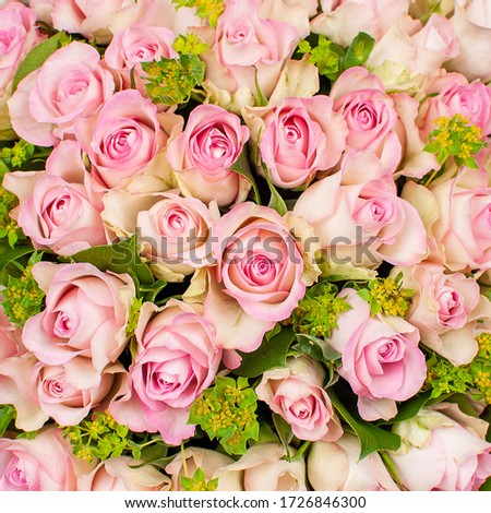 Bouquet of pink roses. Close-up, top view