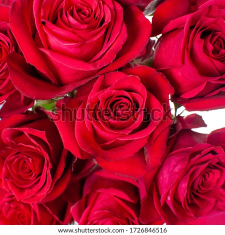 Bouquet of flowers from red roses. Close-up, top view