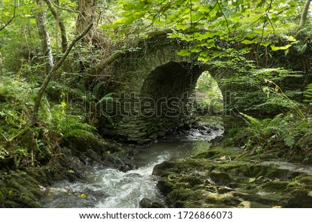 Old "Real Fairy Bridge" in the forest near Kewaigue crossing the Middle River, Isle of Man. It's supposed to be the home of fairies. Royalty-Free Stock Photo #1726866073