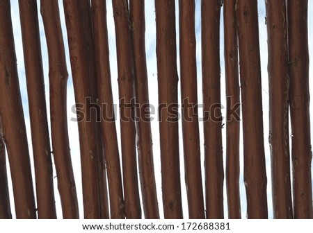 Brown branches background