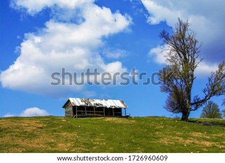 an abandoned sheepfold in the field Royalty-Free Stock Photo #1726960609