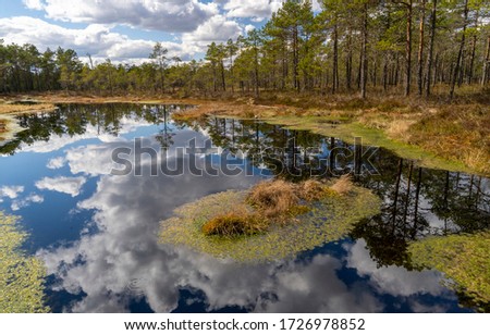 Reflections on the water, Pictures were taken on the bog in sunny day.