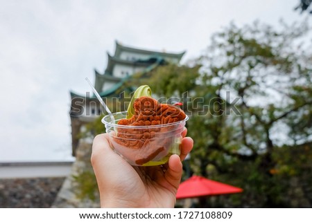 Taiyaki fish sweet with green tea soft cream in Nagona castle