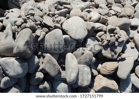 Various number of different sized and shaped stones lie around  the  on the ground in sunny and summer time Close up.
