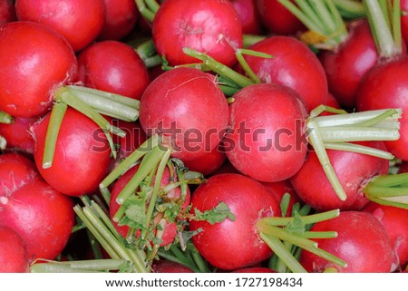 Group of beetroots. Healthy fresh beetroots are grown on an organic farm. Royalty high-quality free stock image of vegetables. Food background