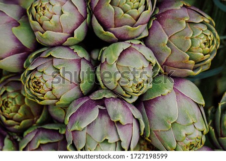 Group of artichokes. Healthy fresh artichokes are grown on an organic farm. Royalty high-quality free stock image of vegetables. Food background