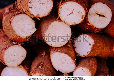 Group of organic cassava (also known as Yuca Root, Cassava, Medioc, Mandioca, Tapioca, Aipim). Healthy fresh cassava is grown on an organic farm. Royalty high-quality free stock image of vegetables.