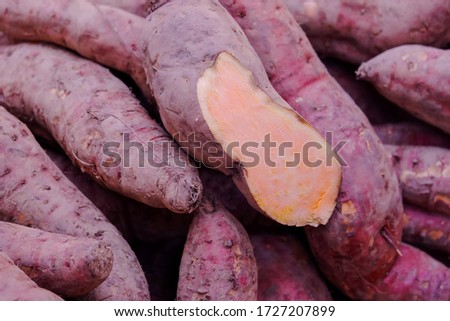 Group of organic sweet potatoes. Healthy fresh potatoes are grown on an organic farm. Royalty high-quality free stock image of vegetables. Food background
